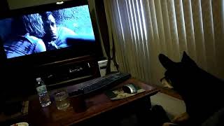 Dog's reaction to a scary movie.