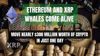 Ethereum and XRP Whales Come Alive, Move Nearly $300 Million Worth of Crypto in Just one day.