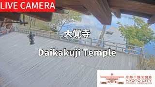 【LIVE】大覚寺（京都市観光協会公式）／Daikakuji Temple, Kyoto Live camera