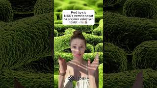 Proč by sis NIKDY neměla sedat na veřejném wc 🚽🧻💩