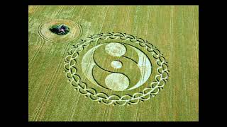 2008 Crop Circles