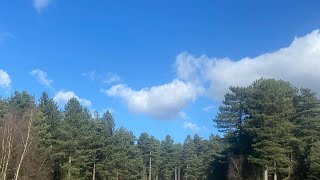 Sherwood Pines Camping in the Forest site on a very sunny weekend in February