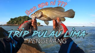 Campfishing | Pulau Lima Pengerang