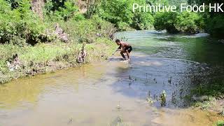 Survival Skills in the rainforest - Find fishs - Lucky to meet big catfish