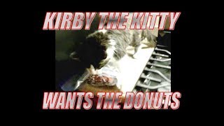 Kirby the kitty wants the donuts