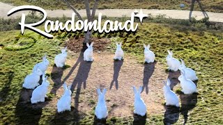 Creepy Bunnyhenge of Newport Beach - Weird California Randomland