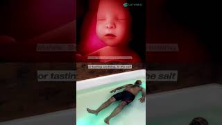 Mother's Womb vs Float Tank #bangalore #floattank #sensorydeprivationtank #saltcave #saltworld