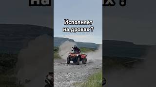 Какие дрова то ? Сами посмотрите #atvlife #atv #квадроцикл #offroad