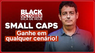 Small Caps - Ganhe em Qualquer cenario