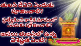 తులసి దేవిని ఎందుకు పూజించాలి? Tulsi Devini enduku poojinchali ?