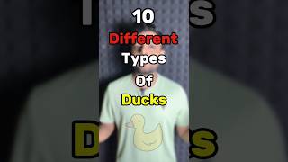 Different Types Of Ducks In Cricket Part-1 #cricket #ducks #dream11