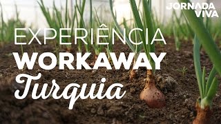 Cultivando orgânicos no inverno da Turquia - Experiência Workaway - Jornada Viva