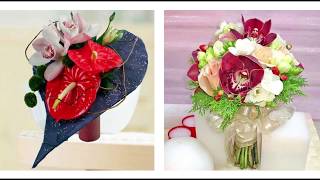 Impressive Orchids in Singapore | Florist