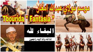 أجمل تبوريدة🐎مولاي عبدالله أمغار🇲🇦أحسن قرصات البارودوالسربات اللهم باركTbourida culture Marocaine