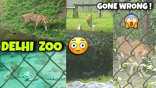 First Time Itni Pass Se TIGER Ko Dekha 😱 | Delhi Zoo | चिड़ियाघर | GONE WRONG 😧