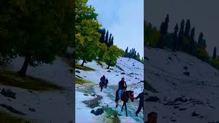 snowfall in Kashmir #snowfall #winter #rehanofficial #trending #viralshorts #viralreels #fypシ゚viral