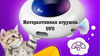 Еще одна интересная интерактивная игрушка наших кошек !