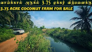 3.75 ACRE COCONUT FARM FOR SALE |  3.75 ஏக்கர் அழகிய தென்னந்தோப்பு விற்பனைக்கு #realestate #best