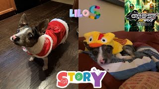 Lilo's Story Of A Dog