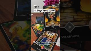 Предначертано ✨ Таролог Margo PRO magic ✨ +380636129971 #tarotube #tarotreading #tarot #таро