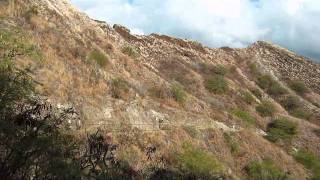 HIKE UP DIAMOND HEAD, HAWAII