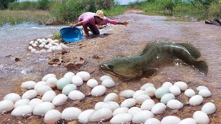 Best fishing Unique Catch a lot of fish and pick duck egg-Best hand fishing