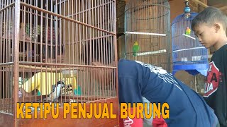 Ketipu Penjual Burung | Short Movie, JEPARA