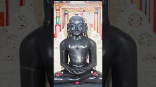 Jain dharm tirthankar#jainreels 24 tirthankar#jainism#jainreligion