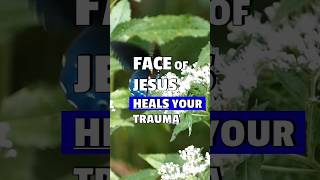 Face of Jesus Heals Deep Trauma #spirituality #god #jesus #trauma