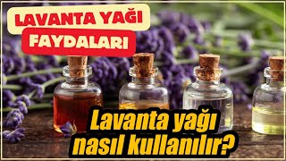 Lavanta yağının faydaları nelerdir? Ne işe yarar?