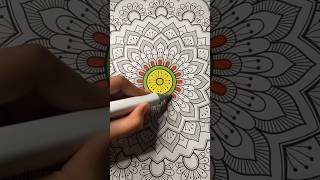 PART 1 Flower art mandala #fyp #art #mandalaartlover #flowerart #mandalaart #viralvideo