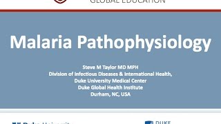 Malaria Pathophysiology by Steve Taylor, Duke Global Health Institute