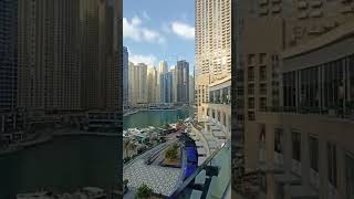 #shortvideo#exploredubai #marinamall#palmjumeirah#seaview