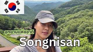 เพื่อนเกาหลีพาเที่ยวบ้านเกิด Songnisan National Park