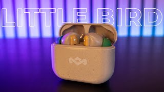 Little Price, Big Performance | Little Bird Earbuds by Marley