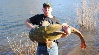 Monster Flathead Catfish 8lb, 21lb, and a 60lb!!