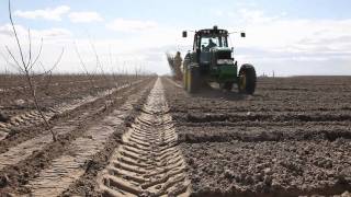 Planting a New Orchard