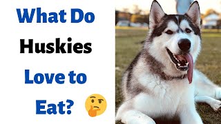 What can Huskies Eat and Can’t Eat? | Ultimate Husky Diet |