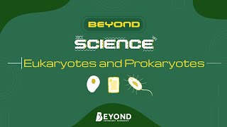 Beyond Science: Eukaryotes and Prokaryotes