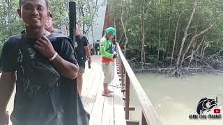 spot mancing di hutan bakau