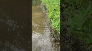 Water spreads evenly to make an interesting waterfall