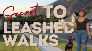 MY SECRET TO A PERFECT LEASHED WALK | Walk & Talk Pt. 11