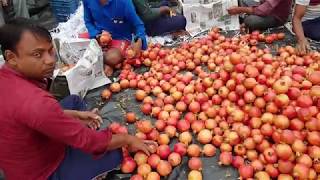 My farm Pomegranate first harvesting