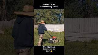 Lawn Mowing #gardening  #garden #landscaping  #landscape #shortsfeed  #ahorts