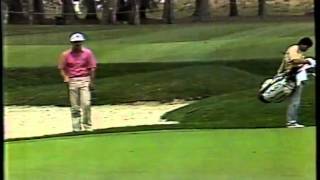 1987 TPC (4/11)