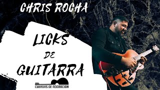 Quien es CHRIS ROCHA y 5 LICKS que te van a GUSTAR