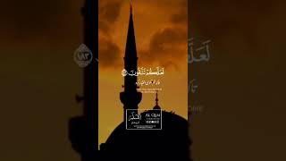 Ramadan Quran Tilawat || Beautiful Recitation || #youtubeshorts #islamicshorts #ramadan2024  #viral