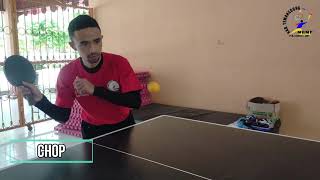 TENIS MEJA SIKAP DASAR & TEKNIK PUKULAN