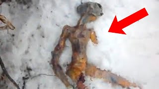 Scientist TERRIFYING Discovery In Frozen Ice