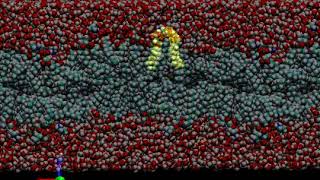 2Pyr-12,12 in S. aureus lipid bilayer